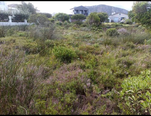 LAND FOR SALE IN KLEINBAAI